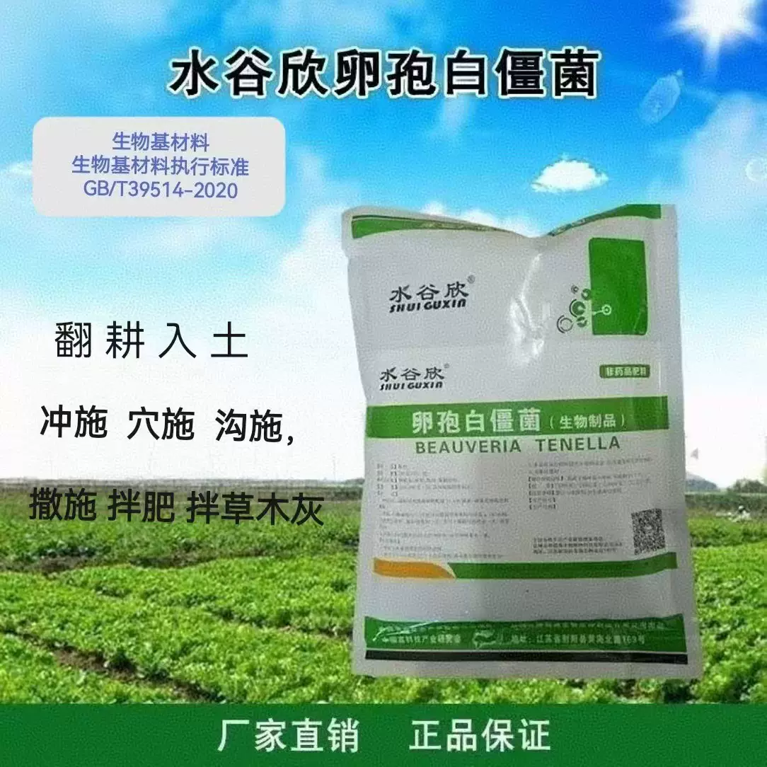 水谷欣卵孢白僵菌 球孢白僵菌 绿僵菌茶业农业种植业果蔬业农用