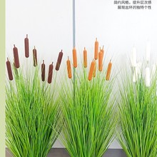 仿真草芦苇大型盆栽狗尾洋葱草假草香蒲落地绿植北欧家居摆件批发