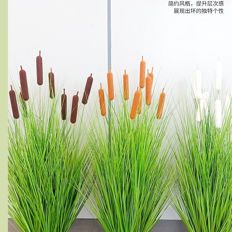 仿真草芦苇大型盆栽狗尾洋葱草假草香蒲落地绿植北欧家居摆件批发