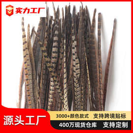 山鸡毛尾巴长羽毛逗猫棒配件野鸡毛印第安头饰戏翎子diy装饰材料