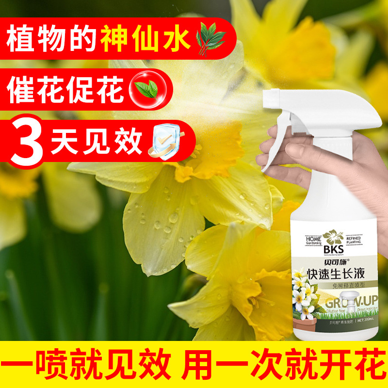 贝可施快速生长液免稀释通用型家庭园艺营养液生根花卉绿植代批发