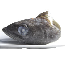 银鳕鱼头冷冻整个南极犬牙餐饮烹饪食材鳕冻品南极犬牙鱼头