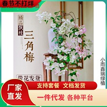 һ�����l����÷���԰�����������t�G�����h֦�����҃��̨�͏d�_