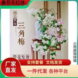 һ�����l����÷���԰�����������t�G�����h֦�����҃��̨�͏d�_