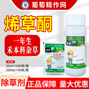 ���_ ���v24%ϩ��ͪ������һ�����̱����s���rș��β�ݳ��݄�