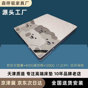 ���Ǽ��Ƶ��L�񴲉| ���᠖�A��+3E�h���� 22cm�Ӻ��o�����Ҵ��|