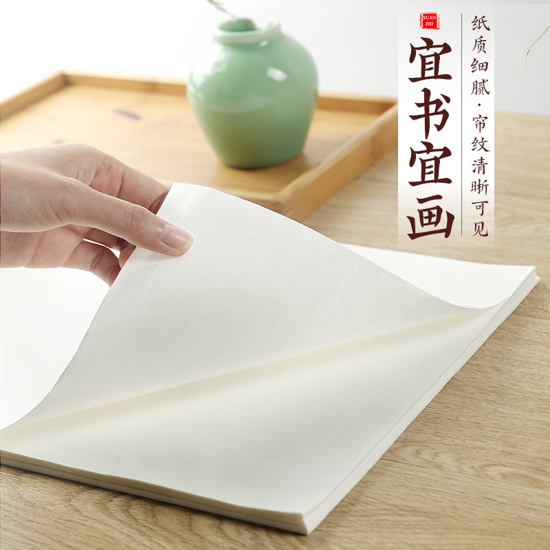 天天练四尺生宣  空白8开熟宣4开半生熟宣毛笔练习工笔画国画宣纸