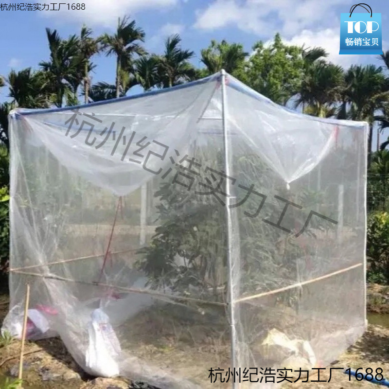 果树防鸟防虫网杨梅树网罩大棚莲雾蓝莓网桃树防鸟网罗幔蚊帐