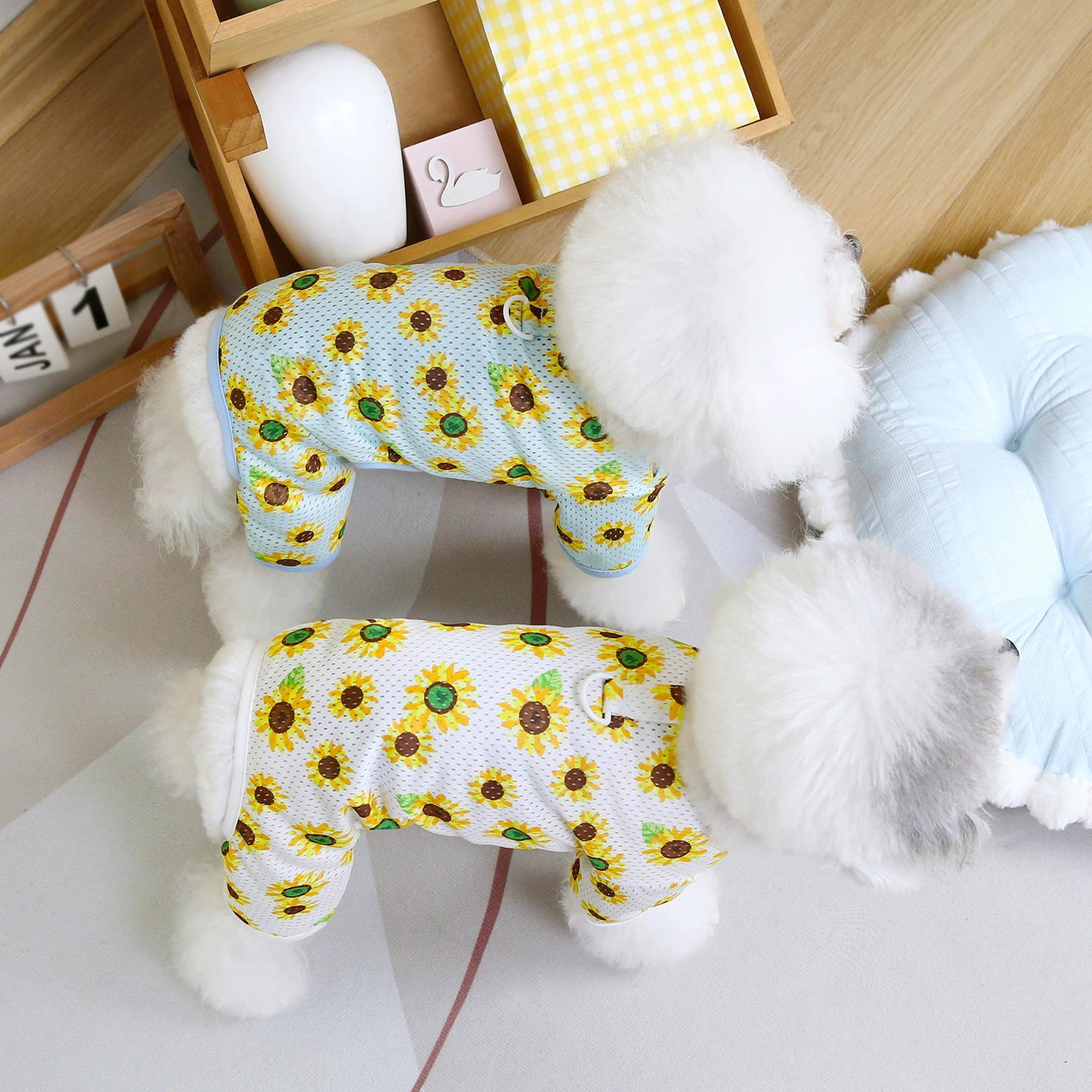 25 штук оригинальных оптовых штанов для питомцев с четырьмя лапами, весенне-летняя новинка, легкие и удобные для собак и кошек.