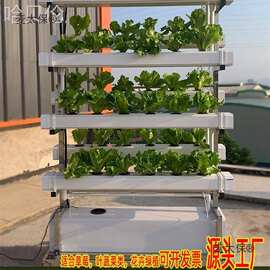 垂直架水耕设备蔬菜NFT种植无土栽培多层草莓种菜机阳台水麦太保