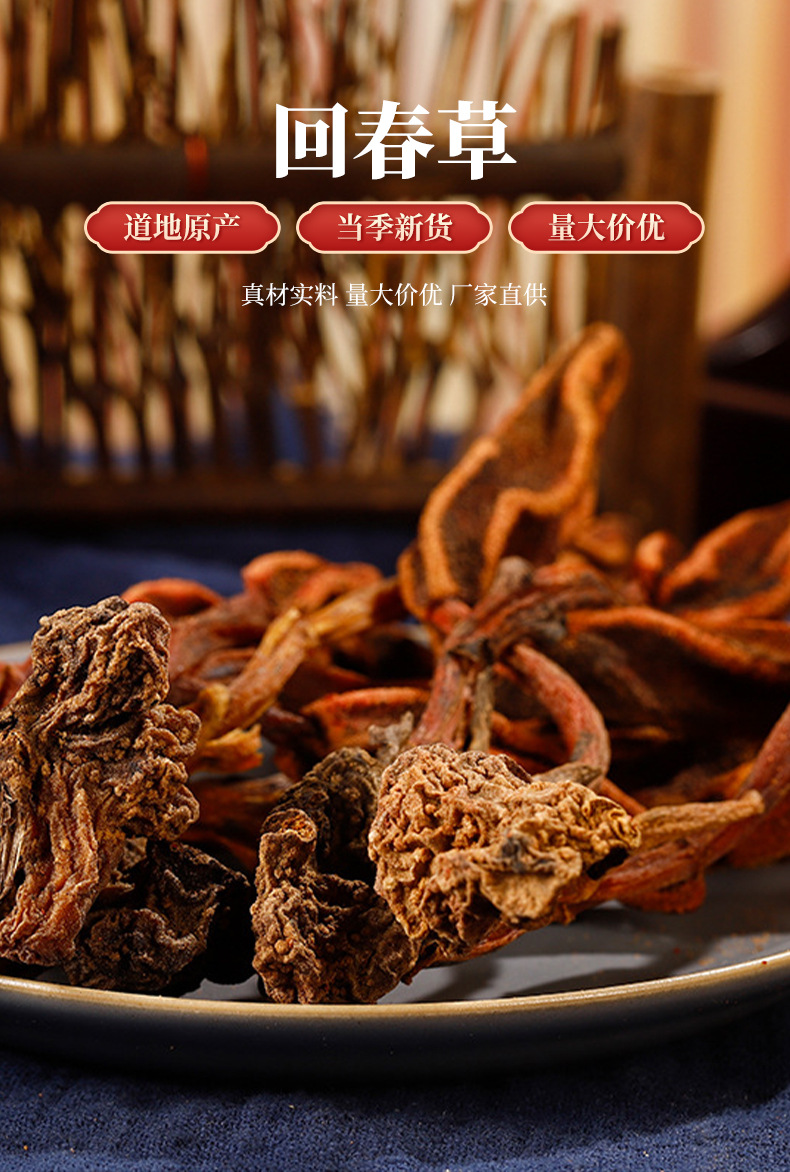 Hui Chun Cao Whole Dried Herb 250g Traditional TCM Botanical from Yunnan Highlands overview