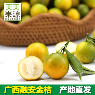 �a��؛Դ �V���ڰ���Ƥ���5���������r���ӻ�Ƥ��ۮ���ˮ�����l