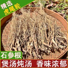 虎尾轮材石参根干品纯根生晒煲汤炖汤食材猫尾草狗尾射根泡酒