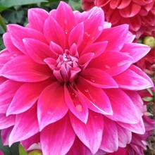 ���߾�����������o�������t���컨�ܾպ��m���߱޾����˾հٺ�