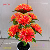 清明菊花7头复色清明把花上供祭祀五七永生花祭祖扫墓花焕彩|ms