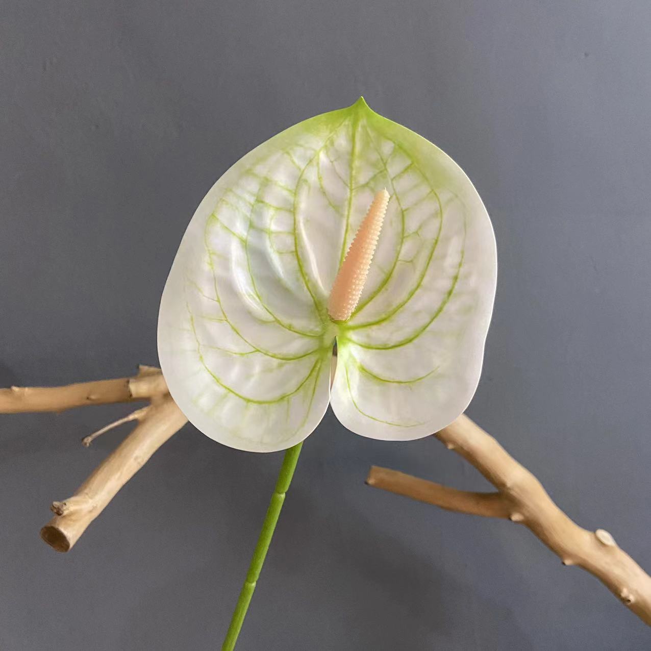 흰색 (색상 당 10 개의 스틱을 집어 들고 덜 쏘지 마십시오)