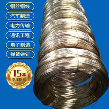 �Cе���������~QSi3-1�~�z ��������T��������~��