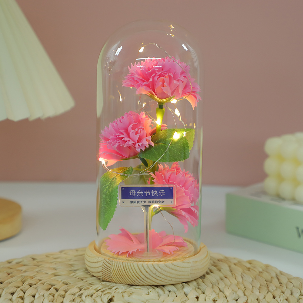 Fábrica al por mayor Flor eterna Cubierta de vidrio Clavel Caja de regalo Flor simulada Decoración de escritorio Día de la madre Regalo para mamá