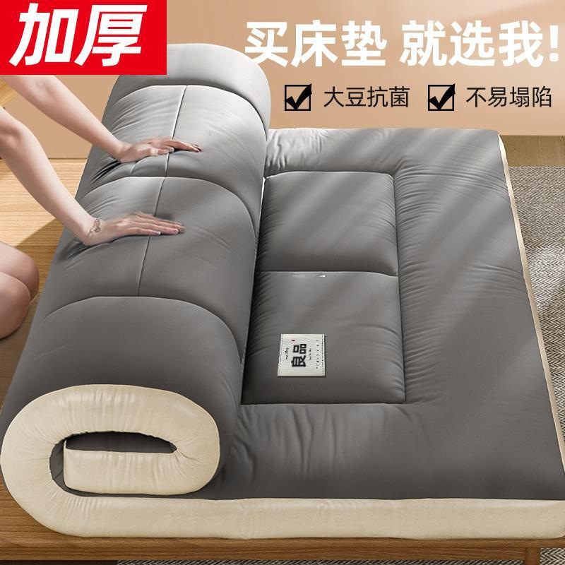 Mattress for Home Bedroom, Soft Cushion Tatami Mat, Mattress Pad, Quilt for Student Dormitory, Single-Person Rental, Foldable