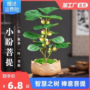 С����������Ԏ����U��[���lؔ���辰�k���҃�����Gֲ�ﻨ��