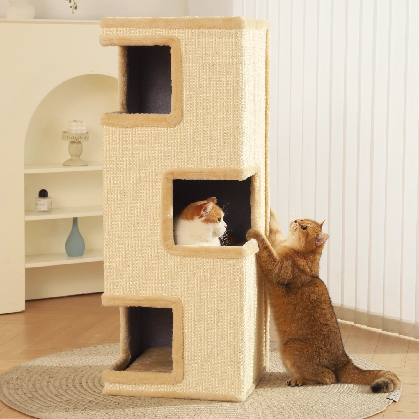 Pet Cat