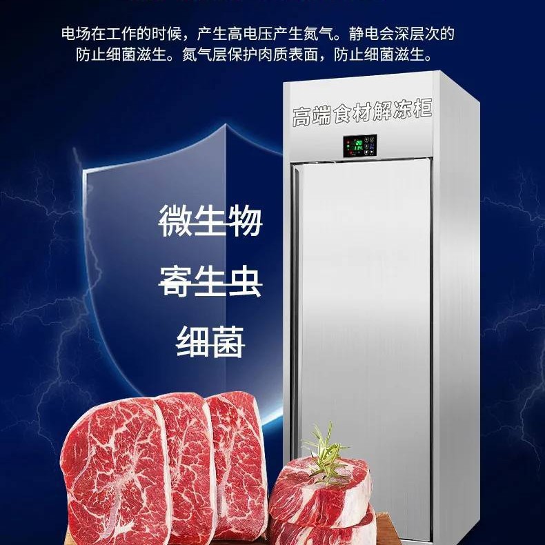 Морозильный шкаф для разморозки мяса Zhonghui модель 20