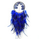 Blue feather + blue pattern