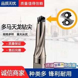 DORMER���R�u���^�黨����wӲ�|�Ͻ��P䓌��ô����^