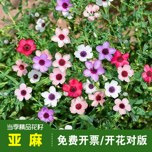 ������N�Ӂ���N���ͺ������̨����ͥԺ���������׷N�ļ��_��