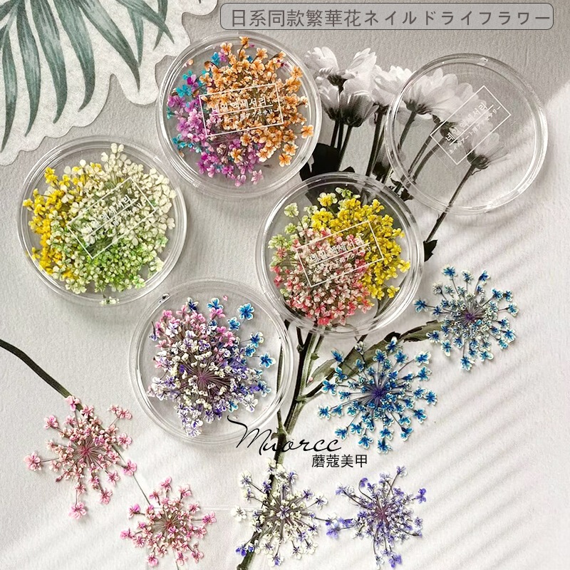 Japanese-Style Nail Art Trendy Floral Dried Flowers Fresh Romantic Lace Flower Mixed Color Nail DIY Decoration Accessories Japanese-Style Nail Art Trendy Floral Dried Flowers Fresh Romantic Lace Flower Mixed Color Nail DIY Decoration Accessories