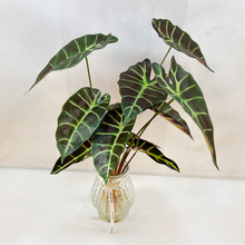 黑孔雀叶 仿真植物插花叶材家居装饰彩色芋头叶观音莲叶婚庆绿植