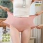 高弹大码女士抗菌三角裤