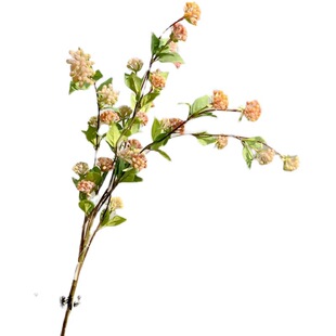 �����������Ұ�{�����\������С���ܲ廨�[�Ż��ܾGɫ�Sɫ���ܷ�