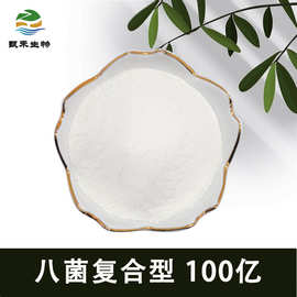 八菌复合100亿益生菌冻干粉 乳酸菌粉 益生菌原料 坚果零食添加