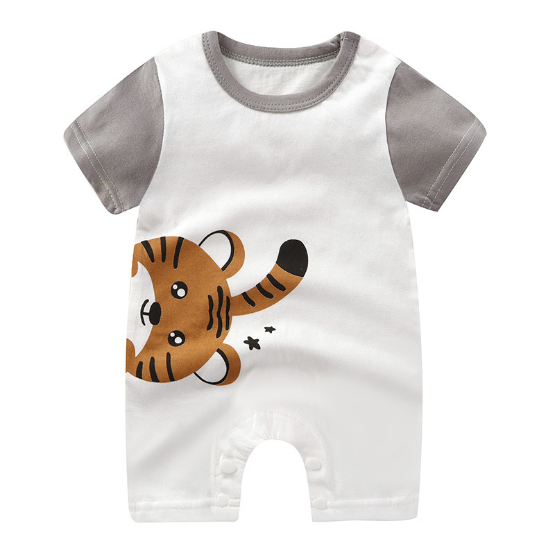 Gray Little Tiger