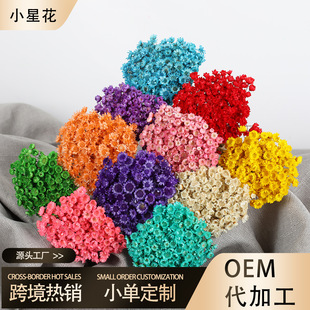 С�ǻ��ɻ� �����r�� ��������޹�������㻨�� �ڼt����DIY���ϰ�
