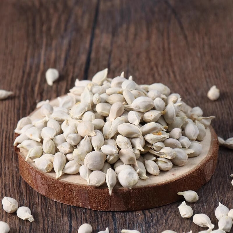Dried Tangerine Seed Ju He 500g Citrus Reticulata Seeds Raw Herb for Tea and Decoction quality and texture