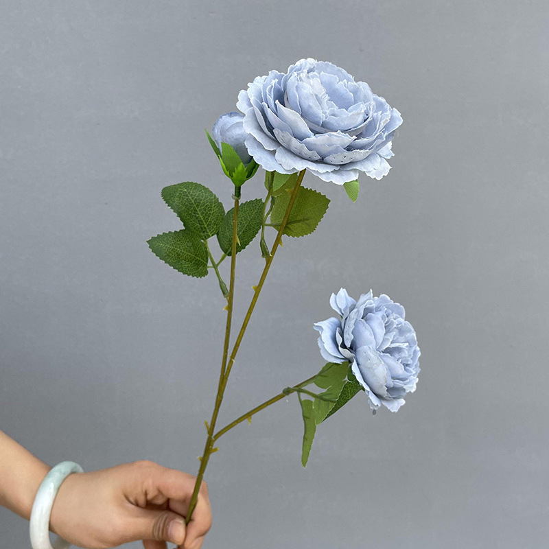 3 Foreign peonies-haze Blue