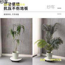 ����������ƄӈA���бP�����f��݆�������м܎�݆���L݆�Ұ��бP