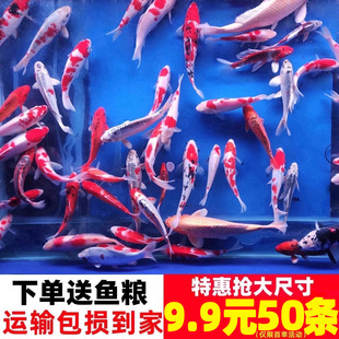 �\�����~�^�p�~���缃�N�t����ɫС�͵�ˮ���B�ͻ���ˮ�t�ݽ��~�