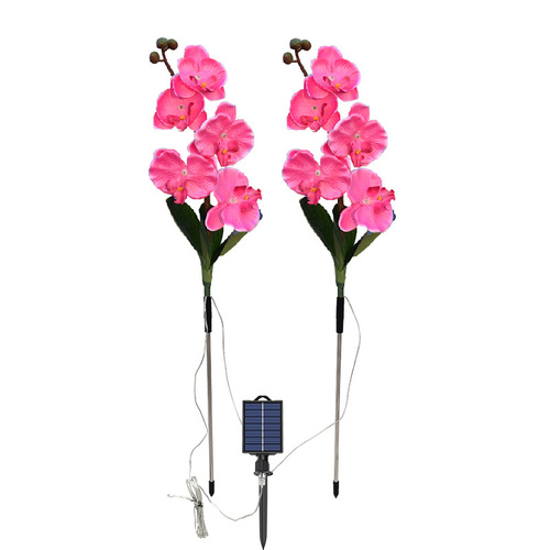 Cross-border new solar outdoor lights, courtyard decoration, LED lawn lights, simulated butterfly orchid lights