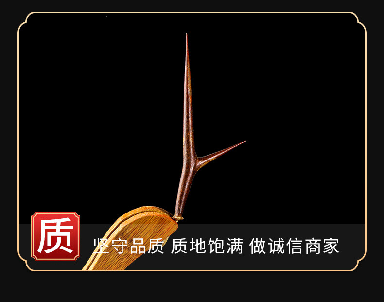 Zao Jiao Ci (Gleditsia sinensis) — Dried Chinese Honeylocust Thorn Decoction Pieces, 500g key features