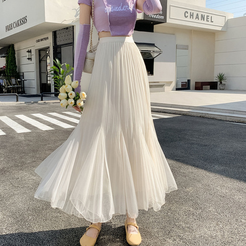 Women's two-sided mesh skirt half skirt autumn new high-waist covers the hip pleated A-line large swing fish tail long dress
