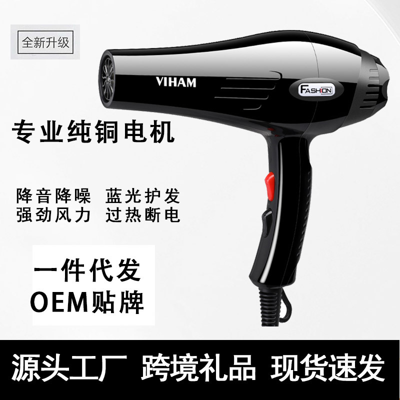 Secador de Pelo Doméstico de Gran Potencia PP y Nylon PA Luz Azul para Hogar image 3