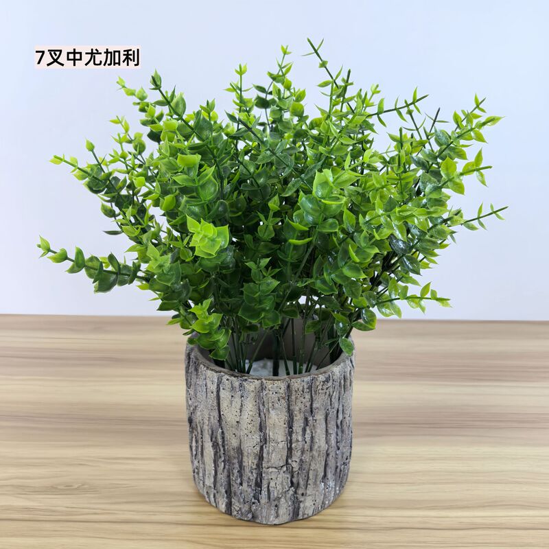 Zhongyucalyptus Simulated Money Leaf Simulated Plant Living Room Green Plant Decoration Plastic Aquatic Plant Artificial Plant Amazon Zhongyucalyptus Simulated Money Leaf Simulated Plant Living Room Green Plant Decoration Plastic Aquatic Plant Artificial Plant Amazon