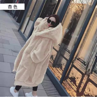 2026�ﶬ���W���«H��ë�Ӻ����L���Bñëë���׷�Ƥ�ݴ���Ů�b��