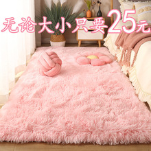 蓝色地毯出租屋床边房间毛绒地地毯毯垫客厅卧室坐冬季装饰加厚睡