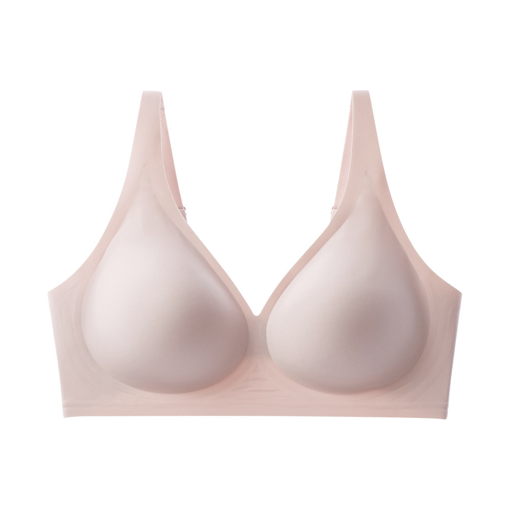 빅토리아 시크릿 팬