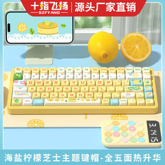 海塩レモンチーズオリジナルキーキャップmda高度個性カスタムpbt熱昇華機械キーキャップ