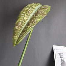 仿真植物叶材蔓绿绒火鹤王大叶网红叶新中式家居婚庆酒店设计装饰